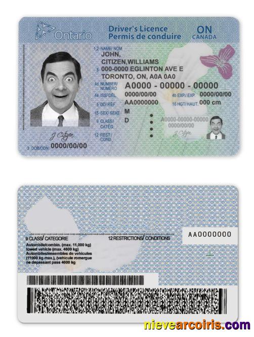 Canada Ontario driving license(2018present)